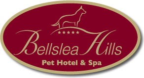 Bellslea Hills Pet Hotel and Spa